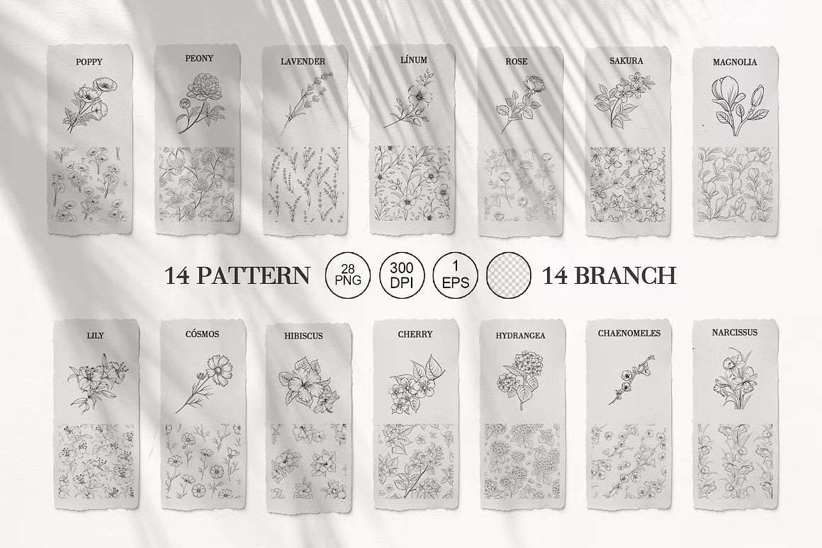Bloom floral line art clipart preview with hand-drawn botanical elements