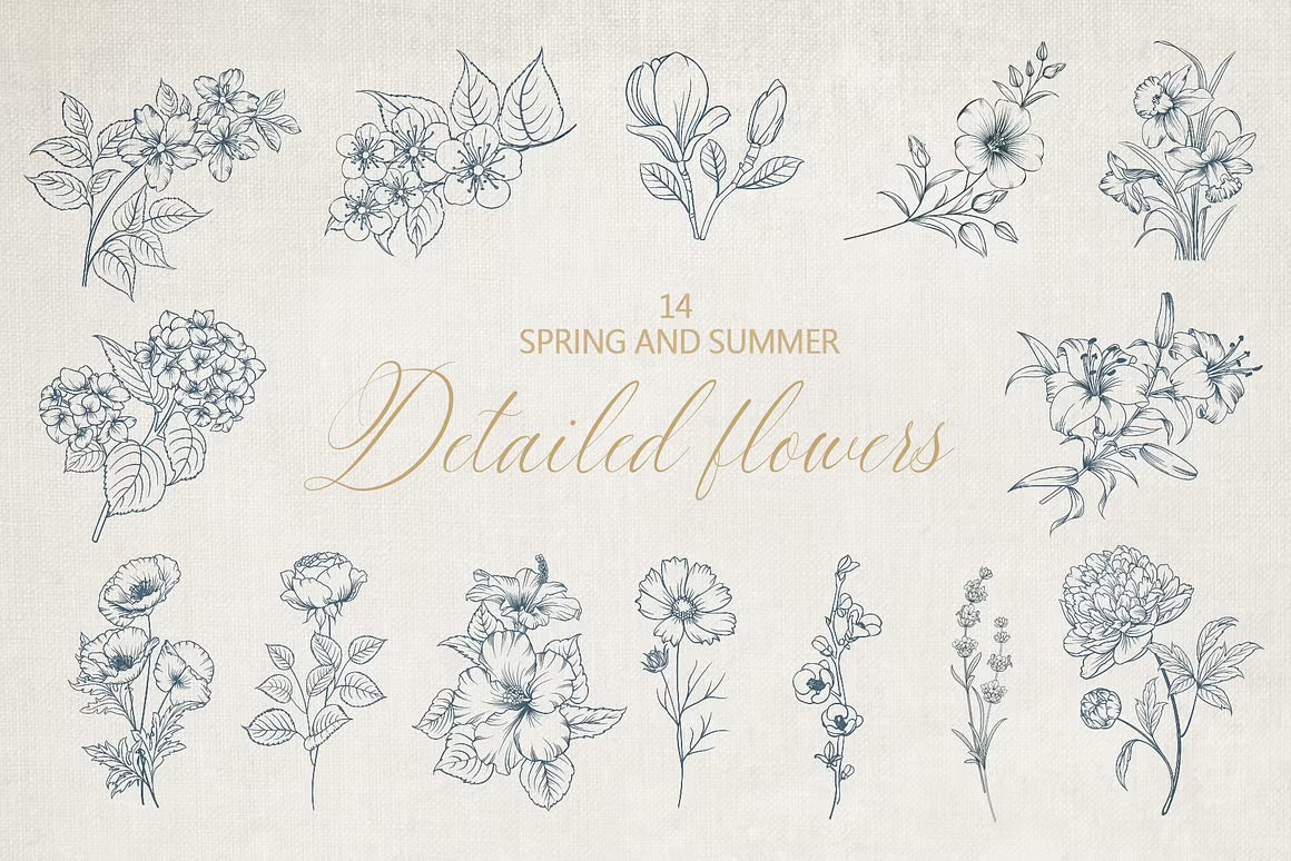 Bloom floral line art clipart preview with botanical pattern artwork