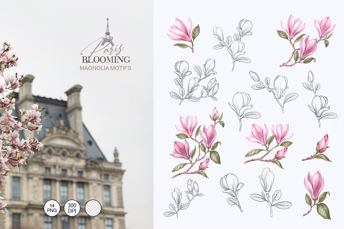 Paris landmark photograph beside watercolor magnolia and line art flower clipart