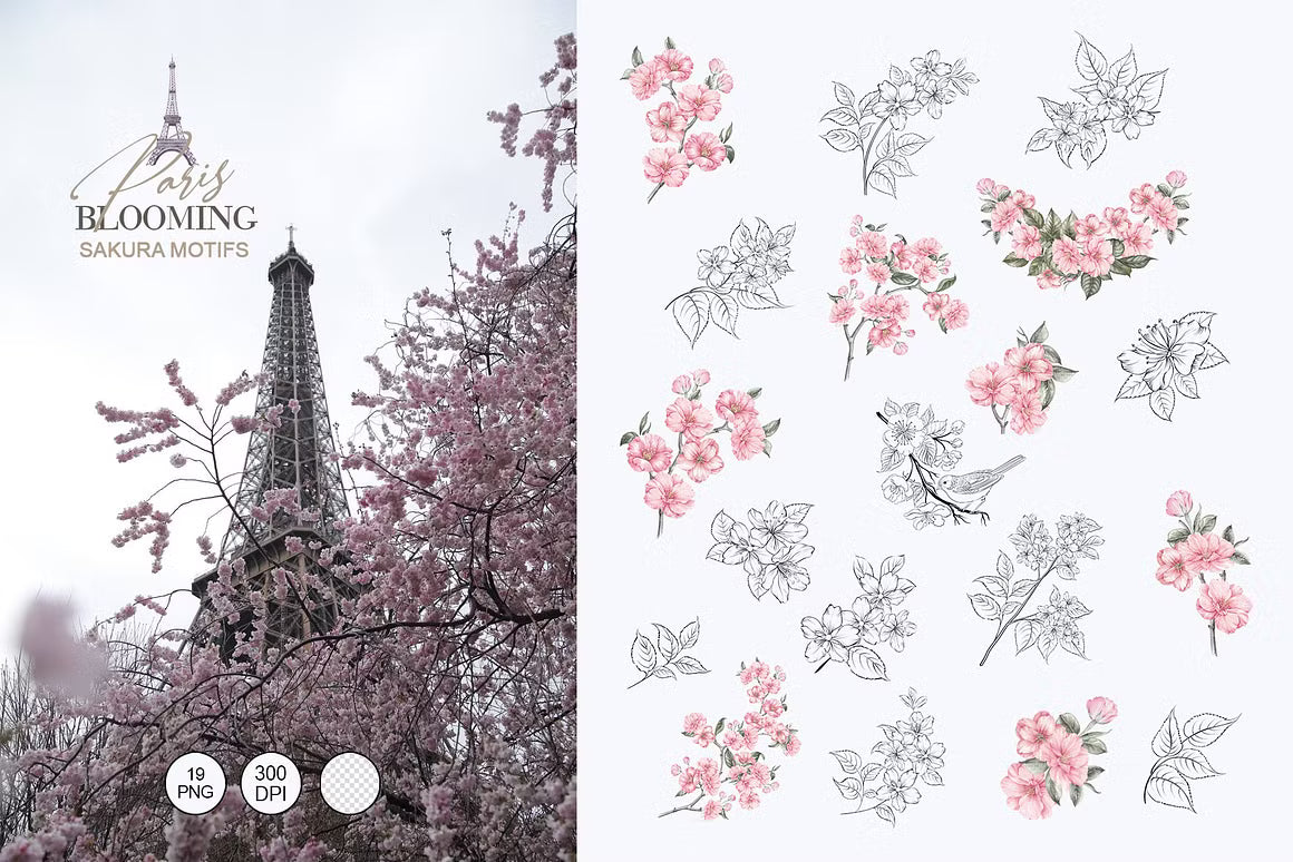 Watercolor and line art magnolia, sakura, and Eiffel Tower clipart elements