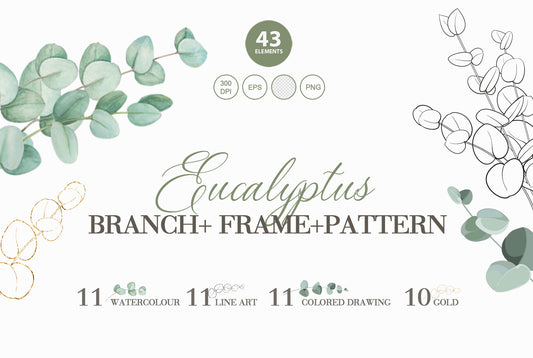 Digital eucalyptus branch, frame, and pattern clipart collection cover preview