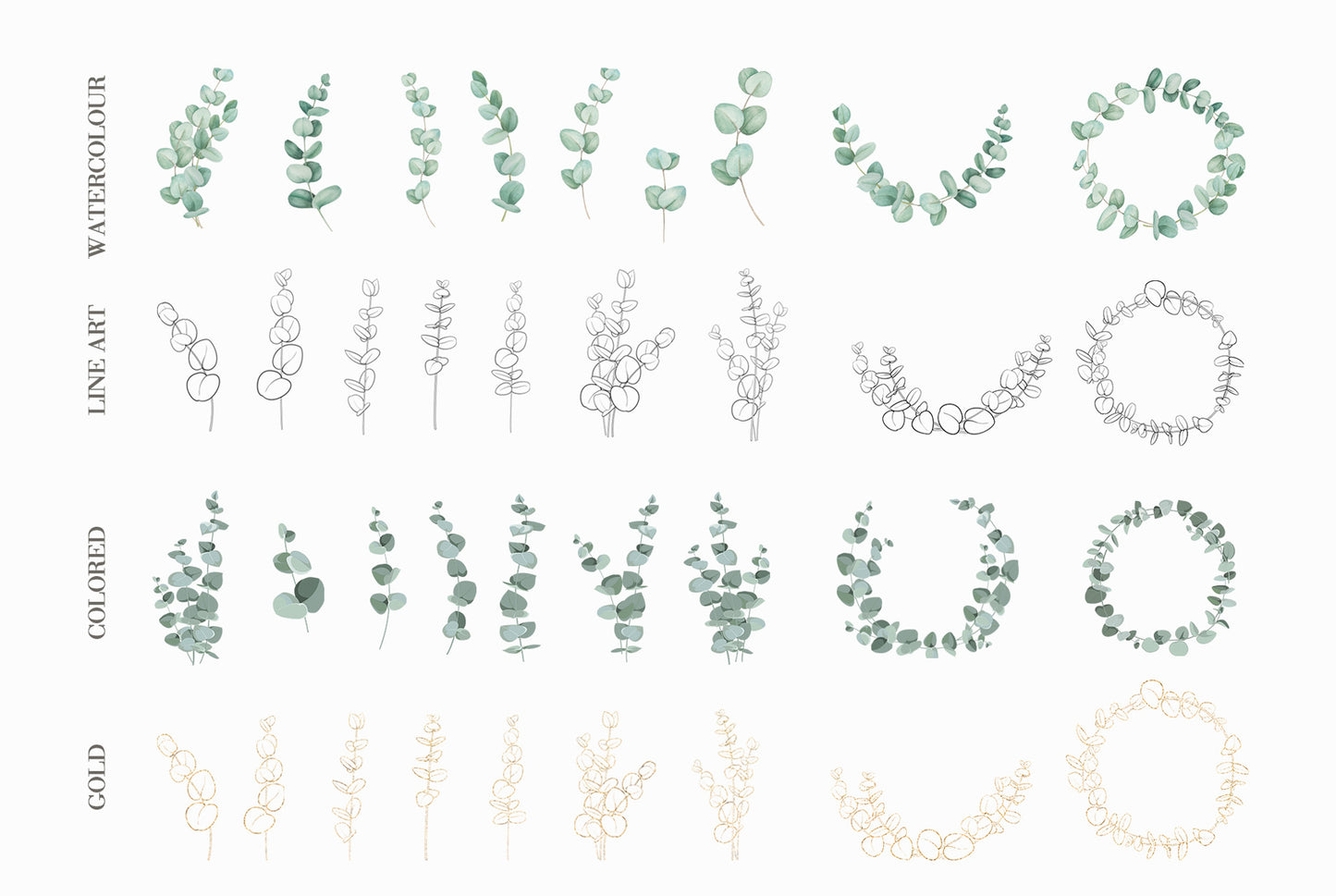 Line art eucalyptus branches and frames clipart preview