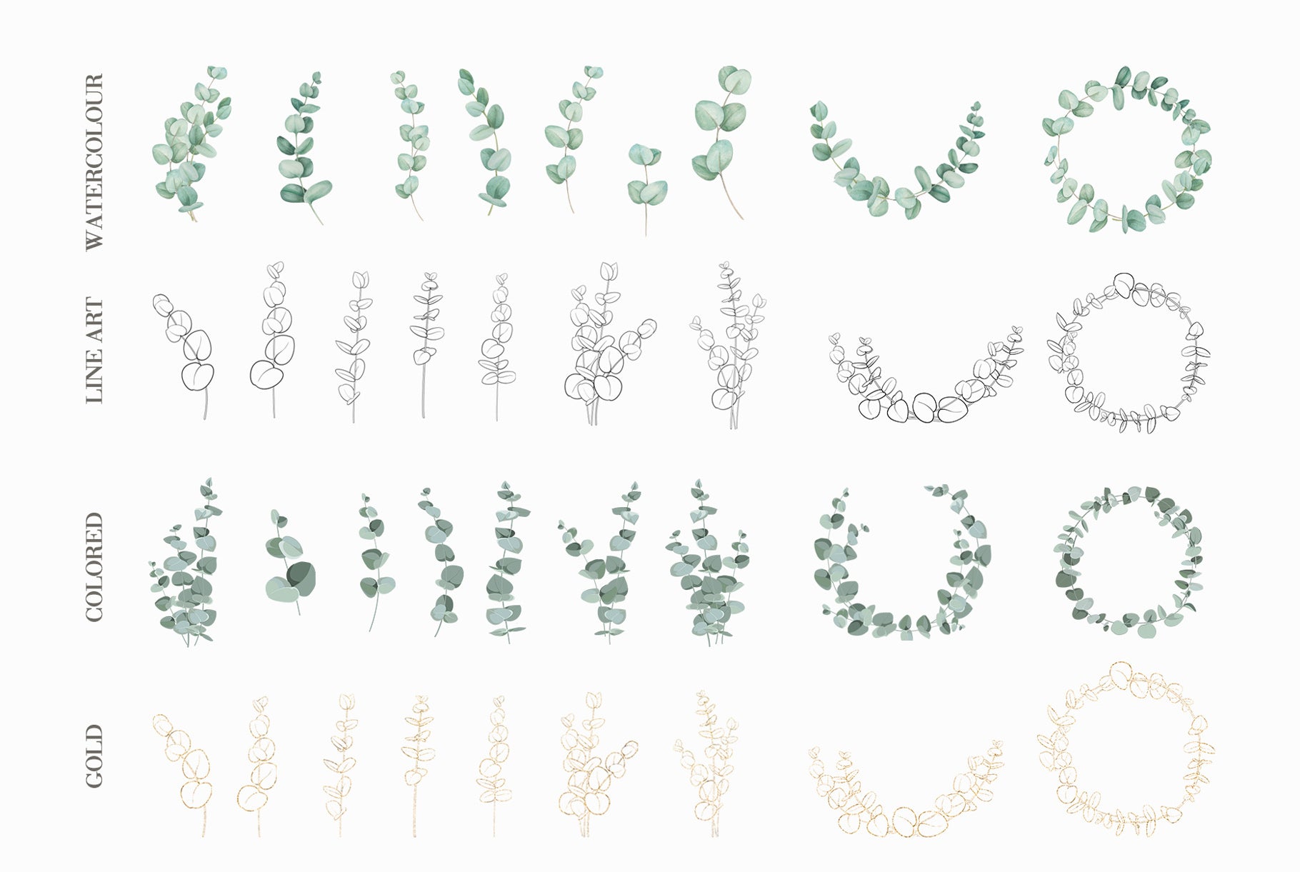 Line art eucalyptus branches and frames clipart preview