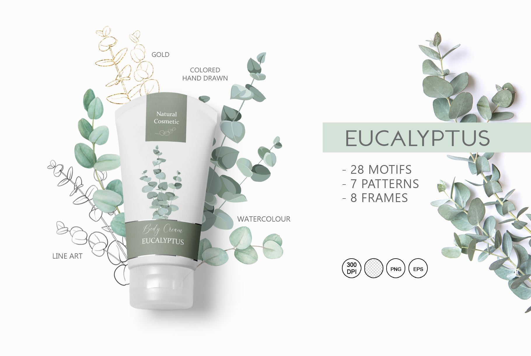 Watercolor eucalyptus branches and leaves clipart preview