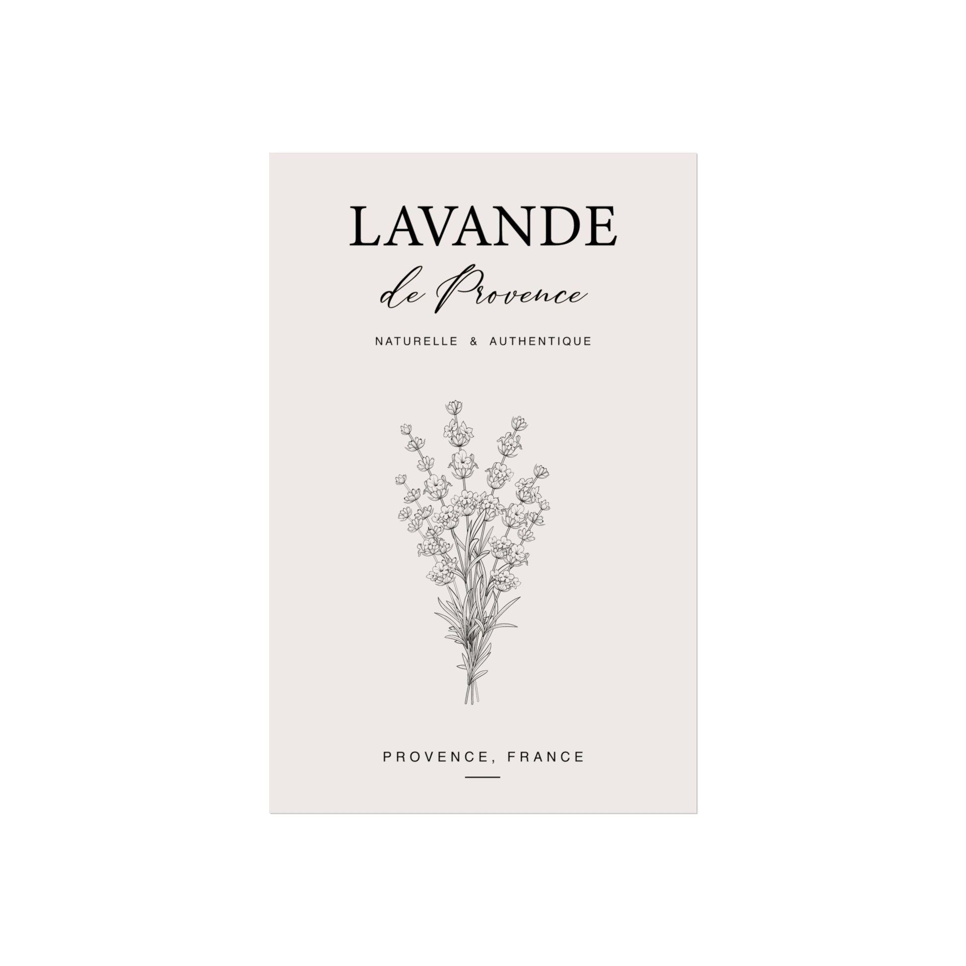 Lavande de Provence Naturelle et Authentique vintage botanical poster design on cream background