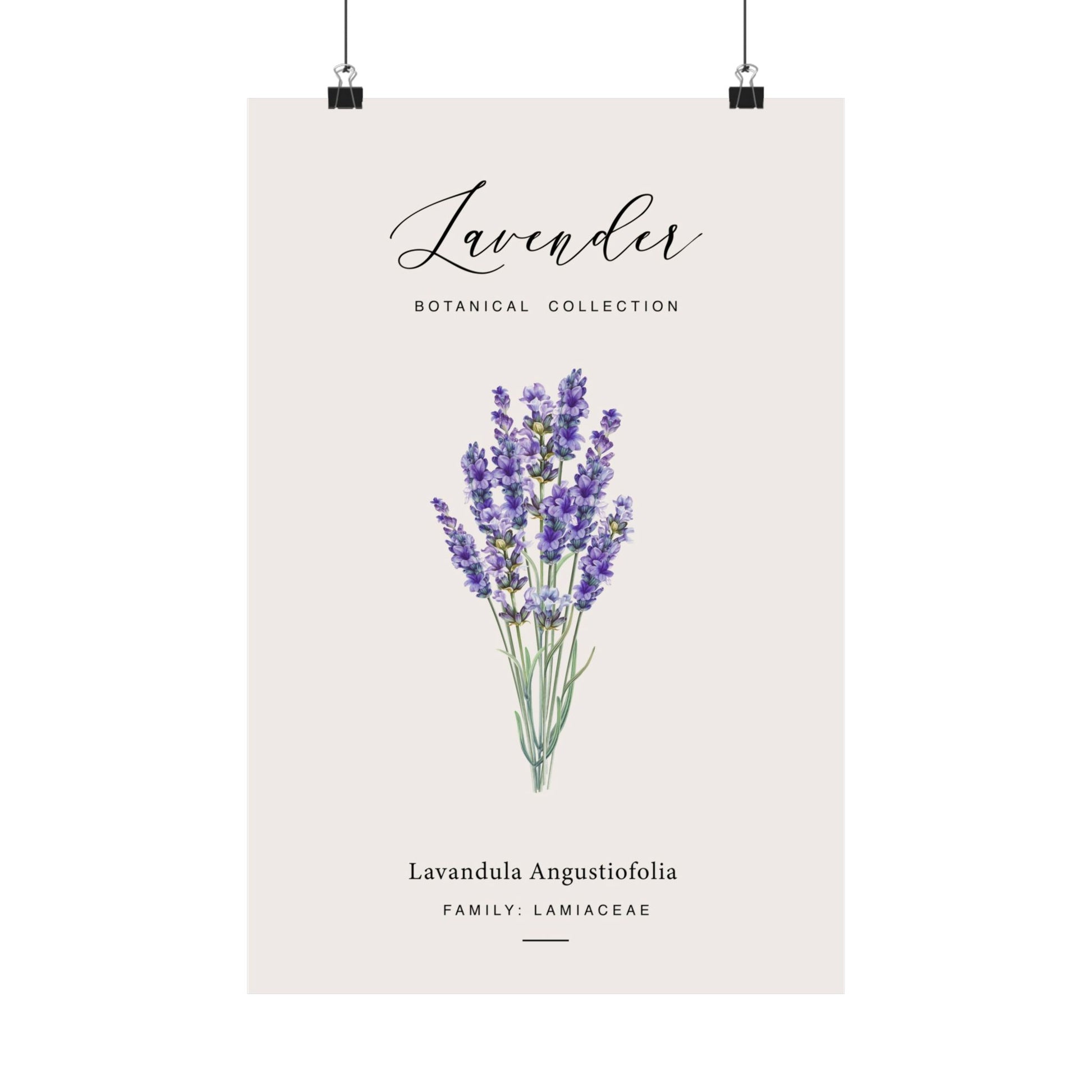 Lavender Botanical Collection poster displayed with black clip hanging hardware and suspension strings at the top