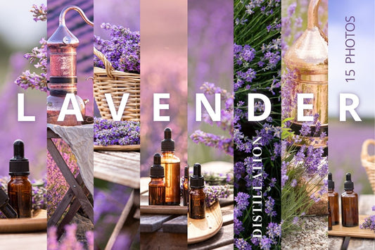Lavender Oil Distillation digital photo collection banner with copper still, lavender fields, and dropper bottles, 15 photos