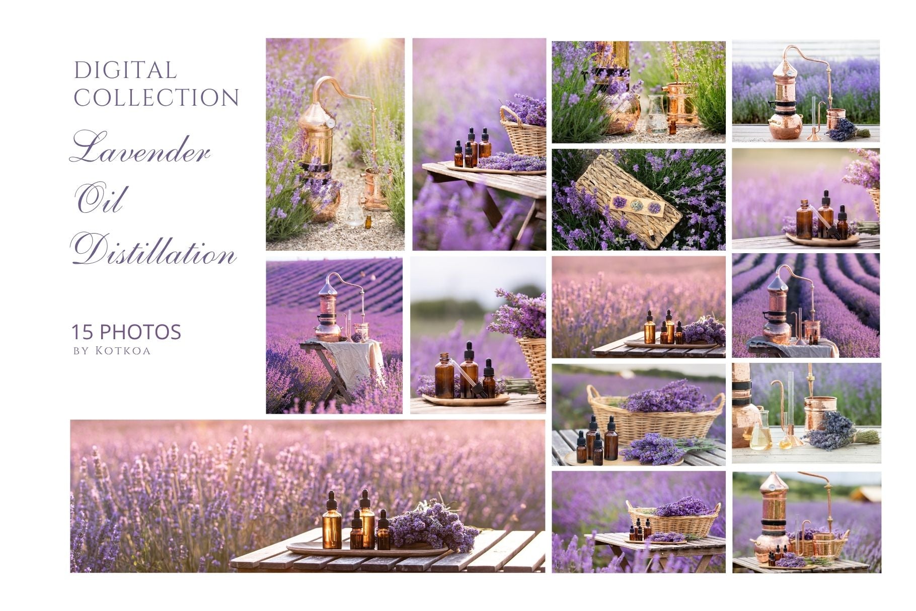 Grid preview of 15 lavender oil distillation photography images included in the Lavender Oil Distillation digital collection by Kotkoa