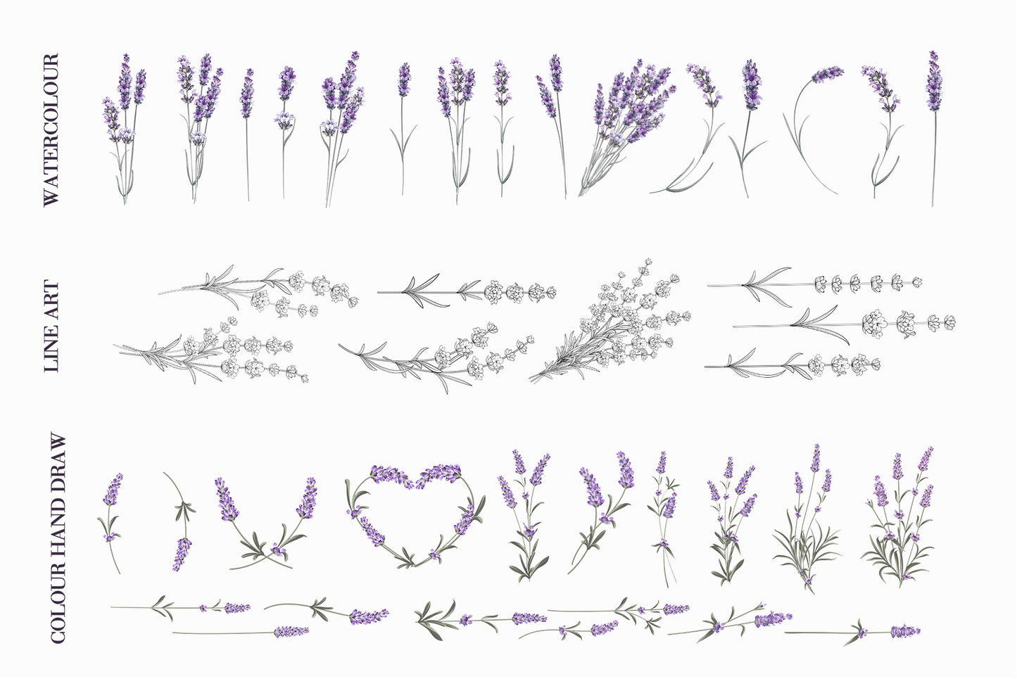 Grid preview of lavender Provence digital design elements organized by style: watercolor blooms, line art stems and branches, and hand-drawn color botanical illustrations