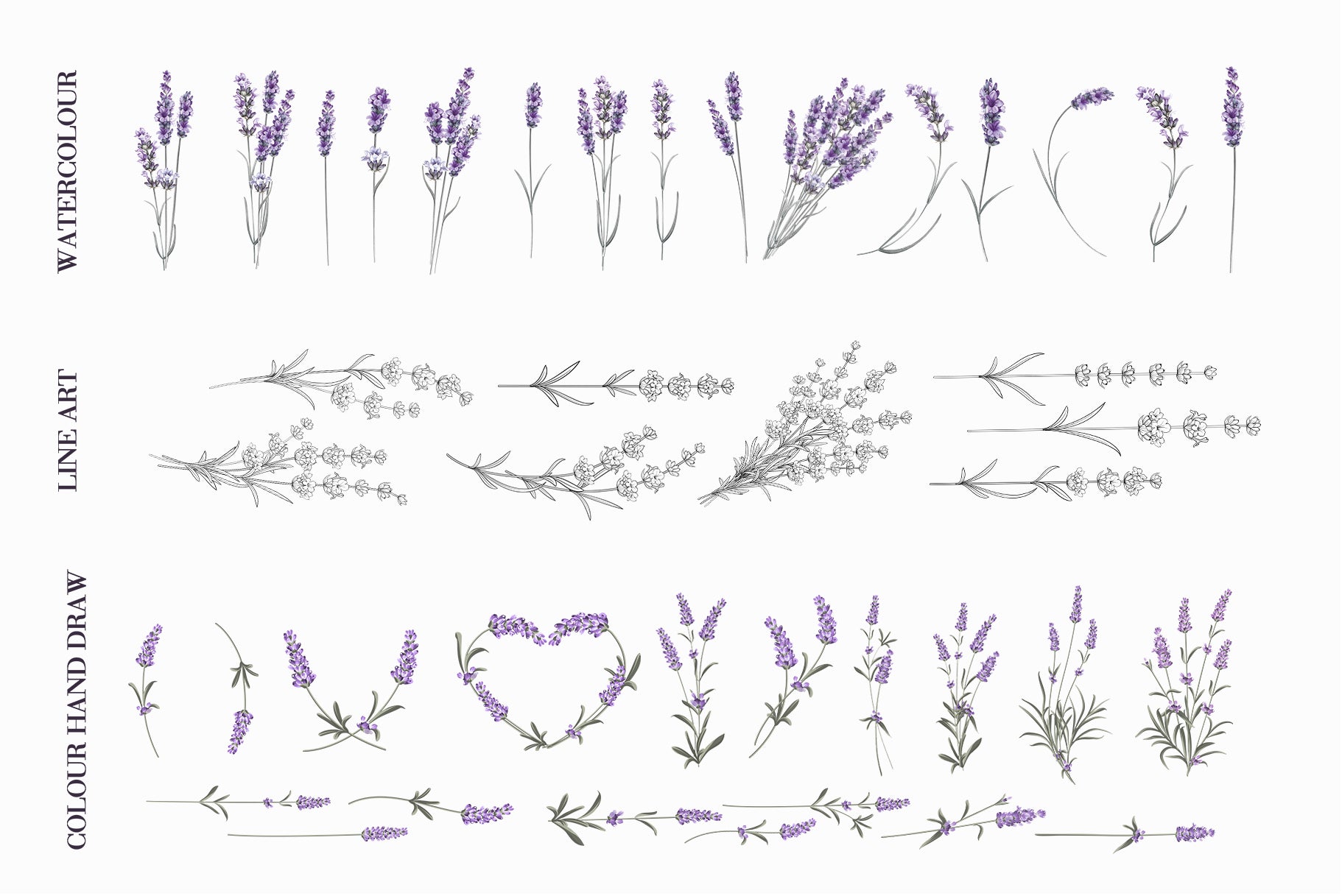 Grid preview of lavender Provence digital design elements organized by style: watercolor blooms, line art stems and branches, and hand-drawn color botanical illustrations