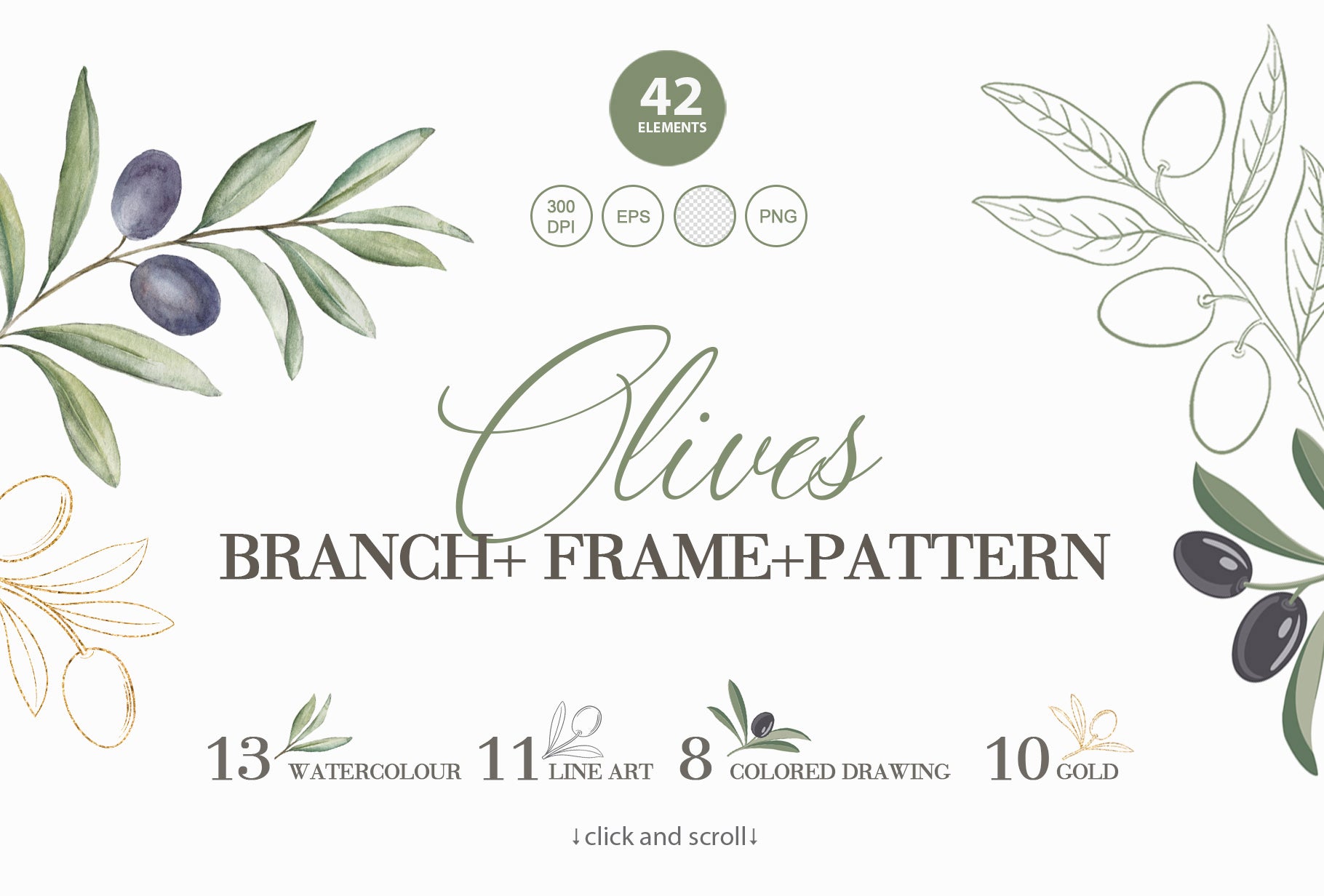 Olives Branch digital photo collection banner featuring watercolor and line art olive branch illustrations with 42 design elements and the title text Olives Branch Frame Pattern
