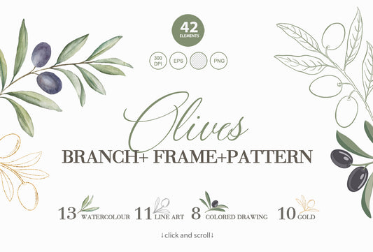 Olives Branch digital photo collection banner featuring watercolor and line art olive branch illustrations with 42 design elements and the title text Olives Branch Frame Pattern