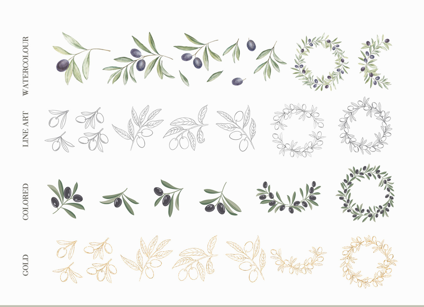 Grid preview of olive branch designs in watercolor, line art, colored, and gold styles included in the Olives Branch digital collection by Kotkoa