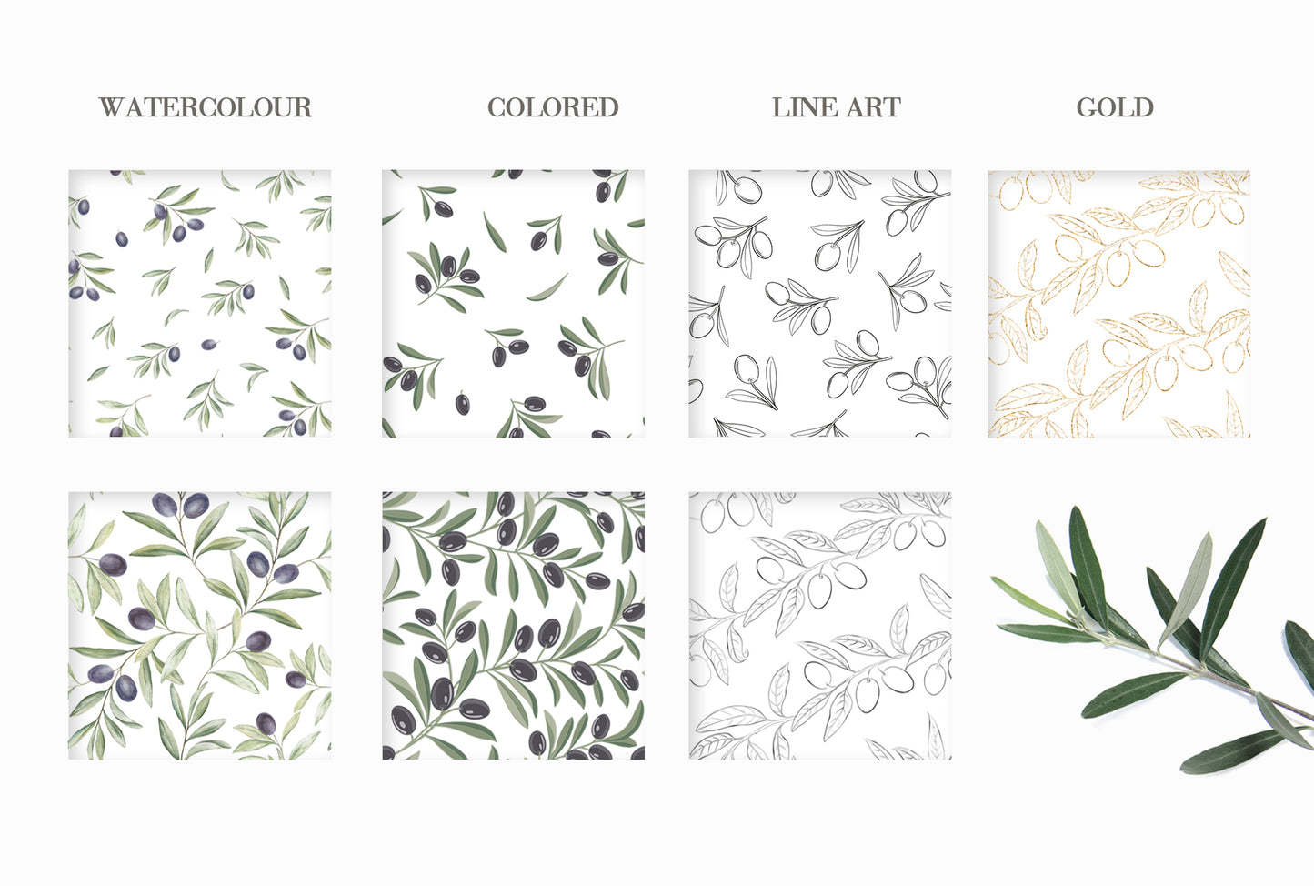 Style guide showcasing four pattern variations of olive branch designs in watercolor, colored hand drawn, line art, and gold finishes for the Olives Branch collection