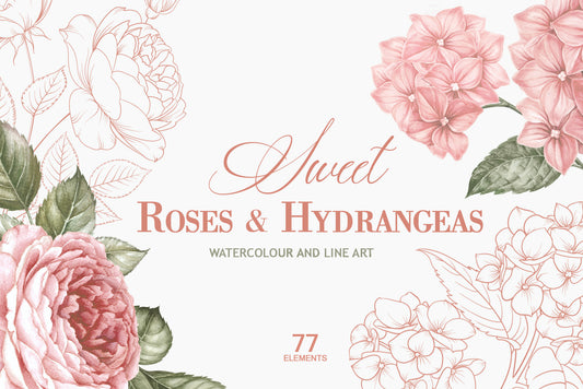 Collection title card for Sweet Roses and Hydrangeas showing watercolor and line art botanical illustrations with the text 'Sweet Roses & Hydrangeas, Watercolour and Line Art, 77 Elements'