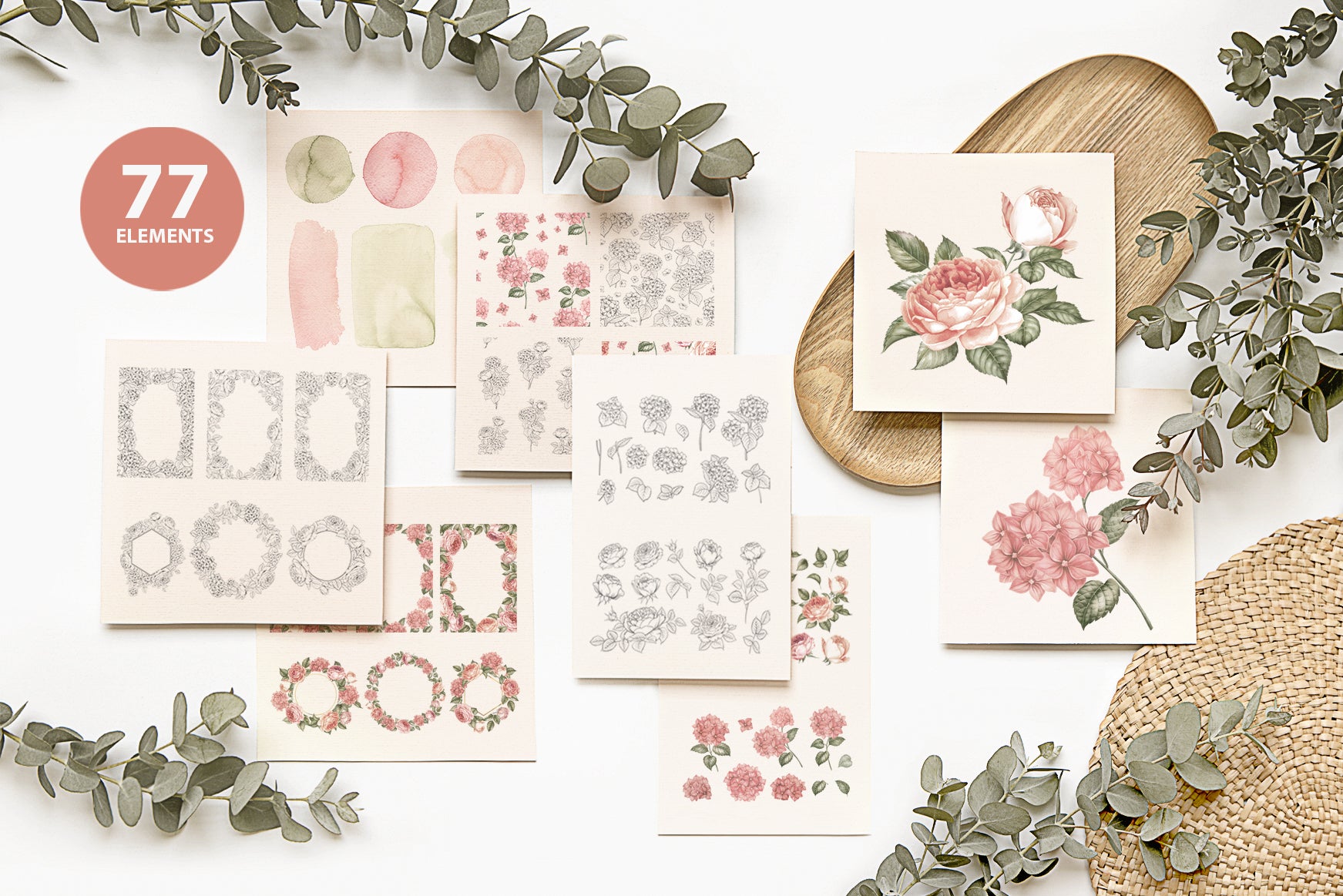 Complete collection catalog sheet displaying all 77 design elements including watercolor swatches, individual rose and hydrangea illustrations, line art, decorative borders, and pattern variations arranged on flat lay background with dried greenery